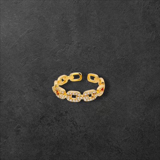 Chain Ring
