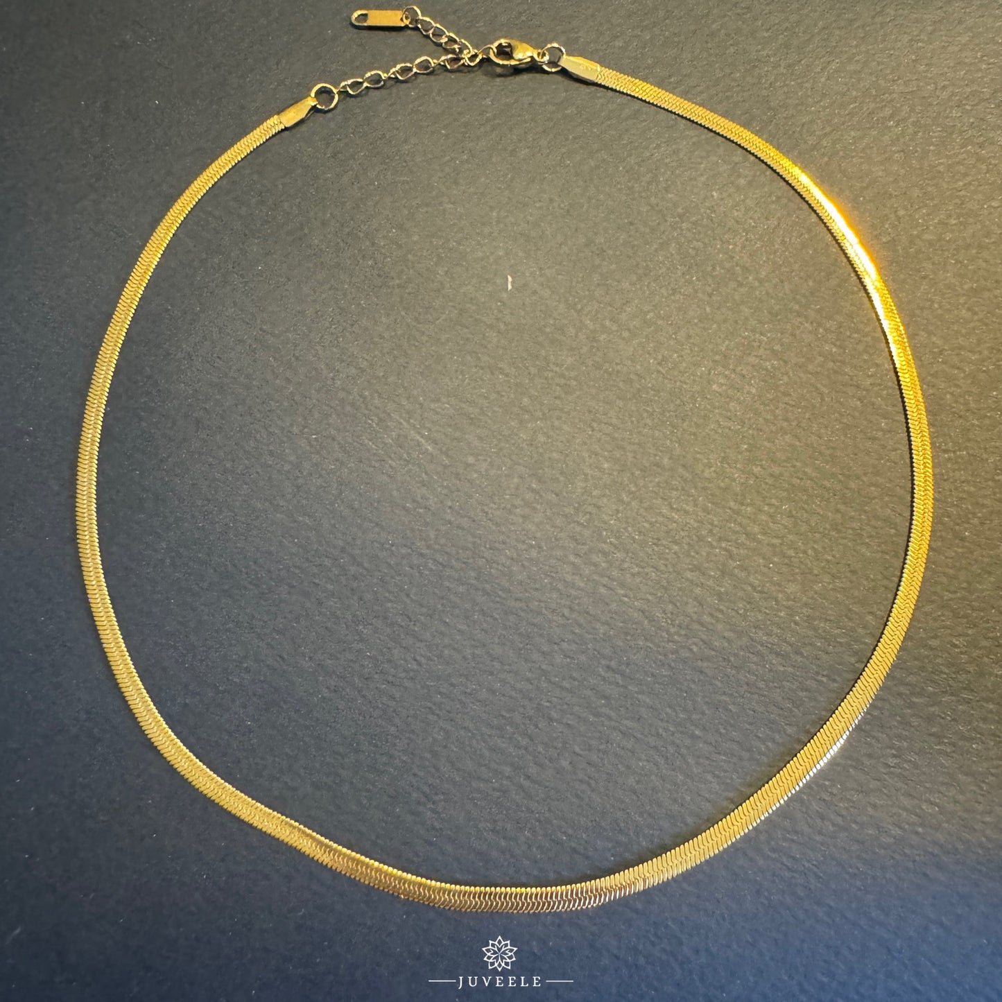 Echidna Necklace