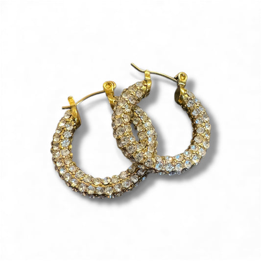 Peteria Earrings