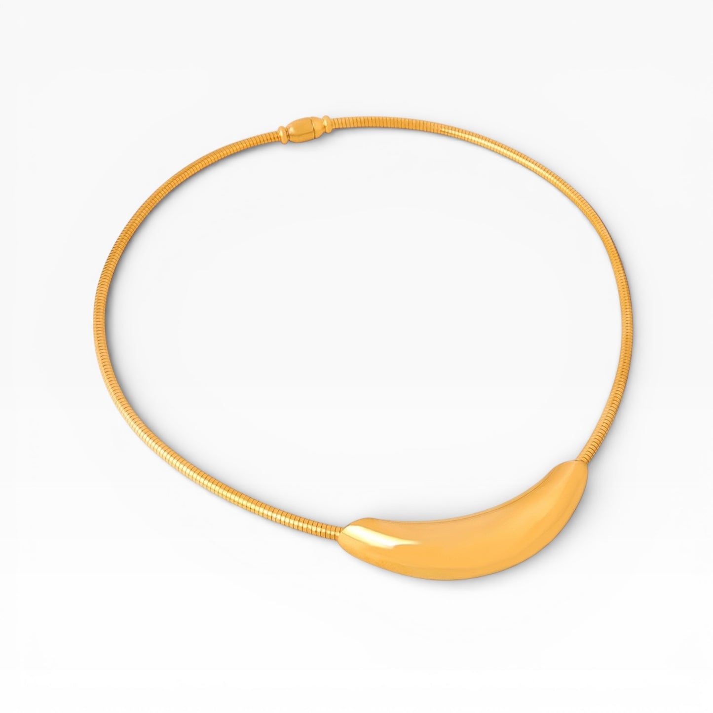 Tina Choker Necklace